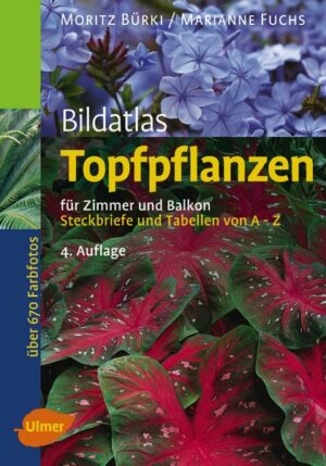 Topfpflanzen