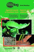 Agamen des südlichen Asien. Agamid Lizards of southern Asia. Bd.2
