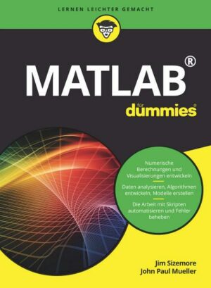 Matlab für Dummies