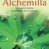 Alchemilla