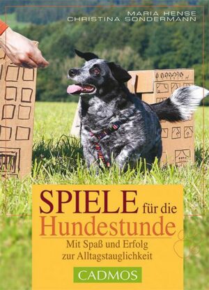 Spiele für die Hundestunde