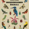 Mikroorgasmen überall