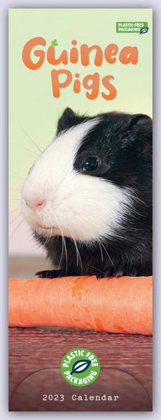 Guniea Pigs – Meerschweinchen 2023 – Slimline-Kalender