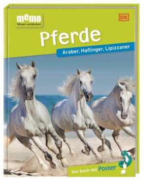 Memo Wissen entdecken. Pferde