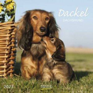 Dackel 2023