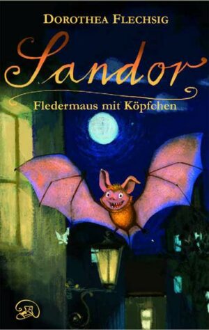 Fledermaus mit Köpfchen / Sandor Bd. 1