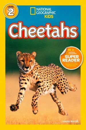 Cheetahs