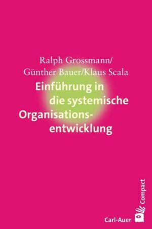 Einführung in die systemische Organisationsentwicklung