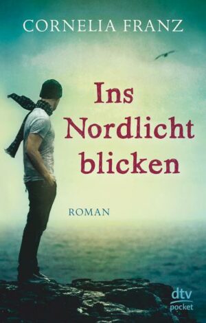 Ins Nordlicht blicken