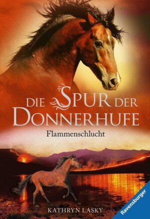 Die Spur der Donnerhufe