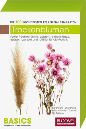 Trockenblumen/Trockenfloralien