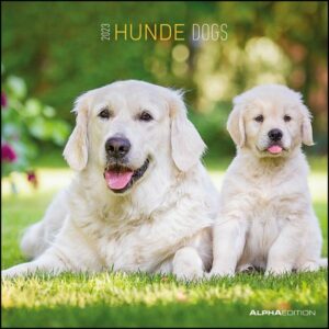 Hunde 2023 - Broschürenkalender 30x30 cm (30x60 geöffnet) - Kalender mit Platz für Notizen - Dogs - Bildkalender - Wandkalender - Hundekalender