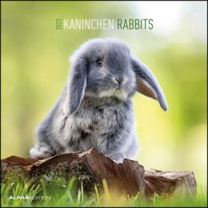 Kaninchen 2023 - Broschürenkalender 30x30 cm (30x60 geöffnet) - Kalender mit Platz für Notizen - Rabbits - Bildkalender - Wandplaner - Wandkalender