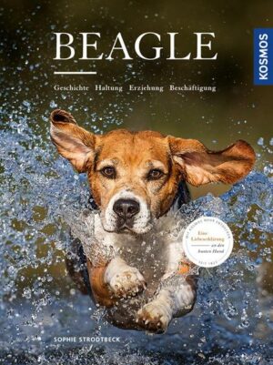 Beagle