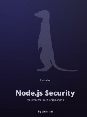 Essential Node.js Security