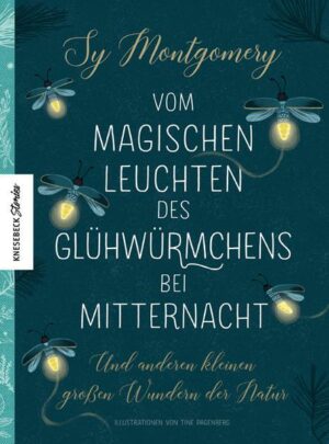 Vom magischen Leuchten des Glühwürmchens bei Mitternacht