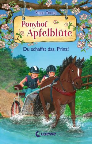 Ponyhof Apfelblüte (Band 19) - Du schaffst das