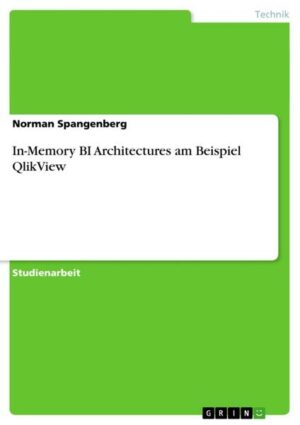 In-Memory BI Architectures am Beispiel QlikView