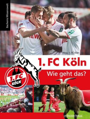 1. FC Köln – Wie geht das?