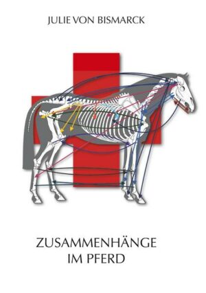 Zusammenhänge im Pferd