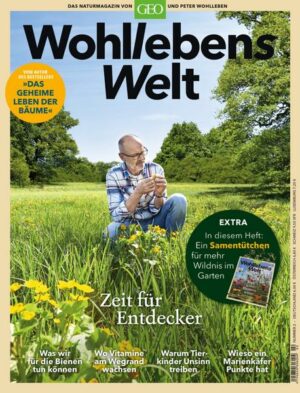 Wohllebens Welt / Wohllebens Welt 2/2019 - Zeit für Entdecker