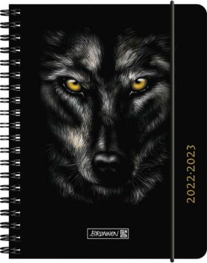 BRUNNEN 1071855063  Wochenkalender  Schülerkalender  2022/2023  'Wolf'  2 Seiten = 1 Woche  Blattgröße 12 x 16 cm   A6  PP-Einband