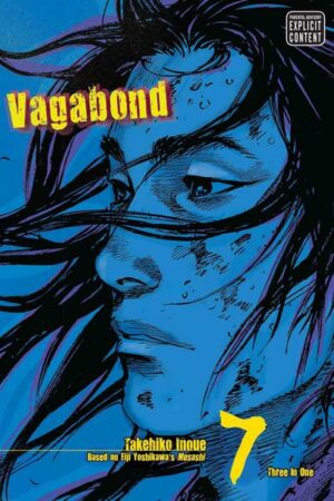 Vagabond (Vizbig Edition)