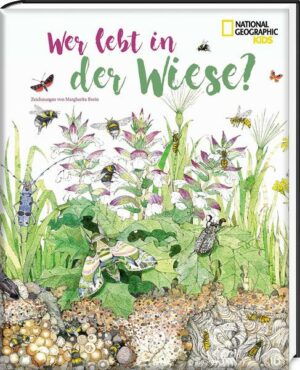 Wer lebt in der Wiese?