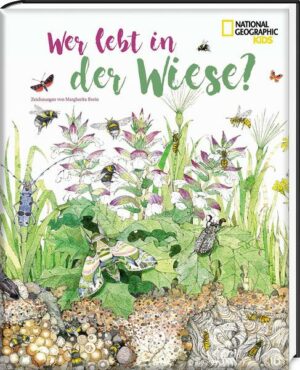 Wer lebt in der Wiese?