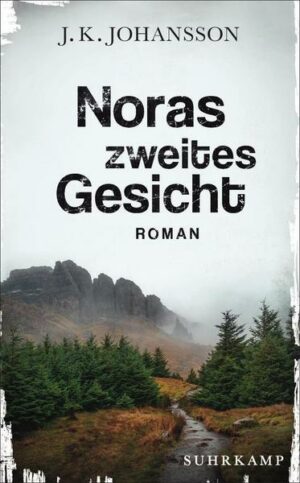 Noras zweites Gesicht / Palokaski-Trilogie Bd.2