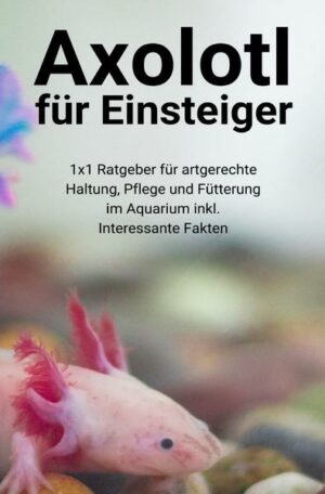 Axolotl für Einsteiger