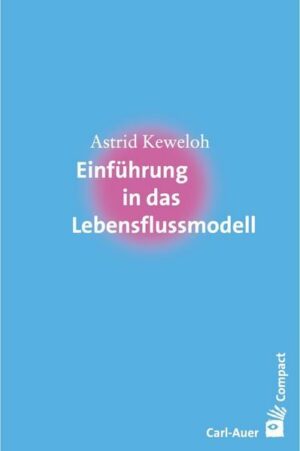 Einführung in das Lebensflussmodell