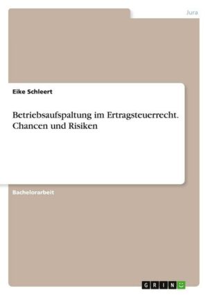 Betriebsaufspaltung im Ertragsteuerrecht. Chancen und Risiken