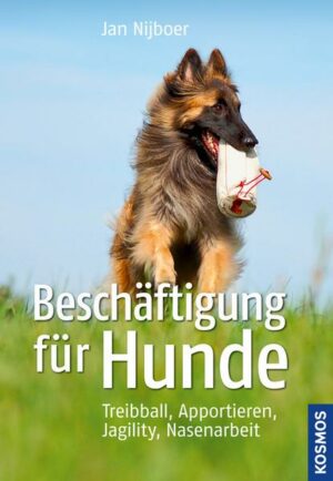 Beschäftigung für Hunde