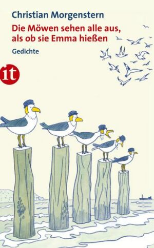 Die Möwen sehen alle aus