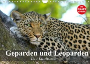 Die Lautlosen. Geparden und Leoparden (Wandkalender 2022 DIN A4 quer)
