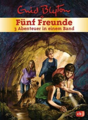 Fünf Freunde - 3 Abenteuer in einem Band Bd.17