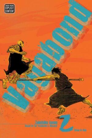 Vagabond (VIZBIG Edition)