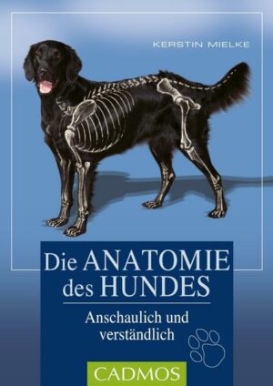 Die Anatomie des Hundes