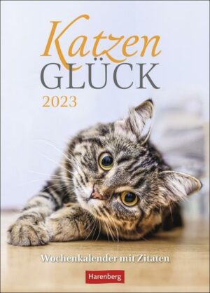 Katzenglück Wochenkalender 2023