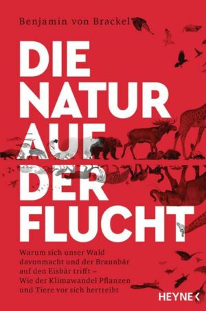 Die Natur auf der Flucht