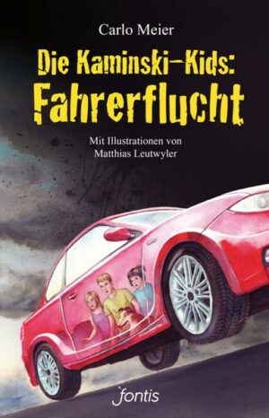 Fahrerflucht / Die Kaminski-Kids Bd. 16