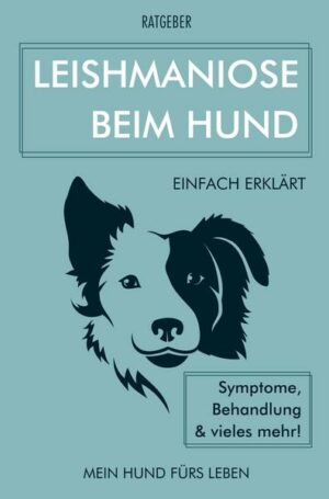 Leishmaniose beim Hund