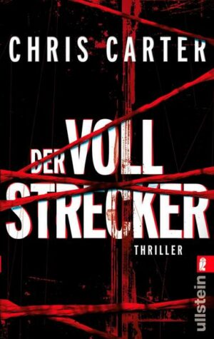 Der Vollstrecker / Detective Robert Hunter Bd.2