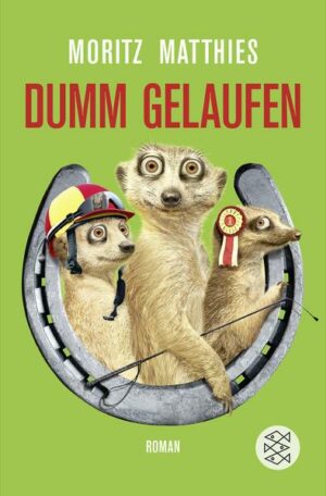Dumm gelaufen / Ray & Rufus Bd. 3