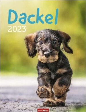 Dackel Kalender 2023
