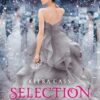 Die Kronprinzessin / Selection Bd.4
