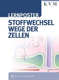 Lernposter – Stoffwechselwege der Zellen