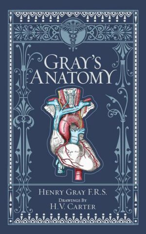 Gray's Anatomy (Barnes & Noble Collectible Classics: Omnibus Edition)