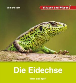 Die Eidechse